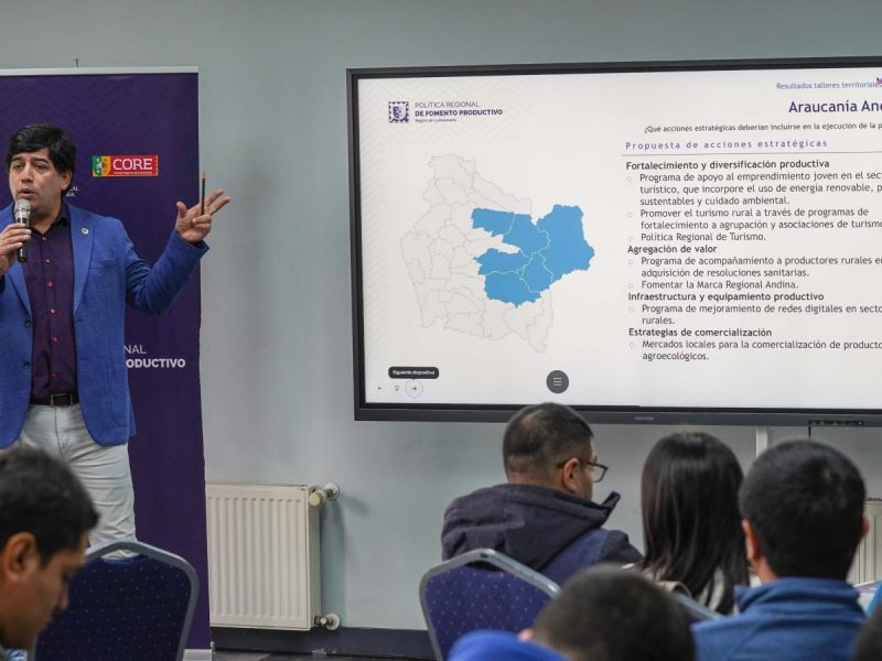 Gobierno de La Araucanía presento avances de la Política Pública Regional de Fomento Productivo a encargados de desarrollo de los municipios